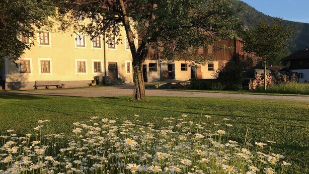Ein Gebäude mit gelber Fassade, einer Bank und einem Feld voller Gänseblümchen.
