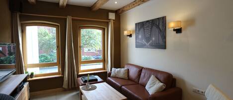 Tv, eldstad, dvd-spelare och böcker