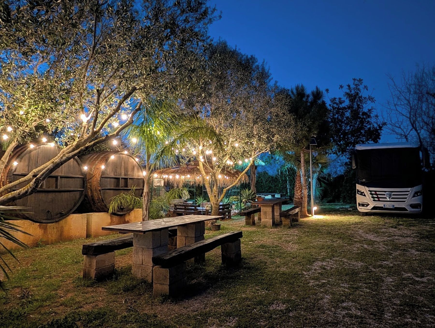 An outdoor dining area with wooden tables and benches, surrounded by trees and illuminated by string lights.
