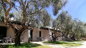Fileira de edifícios rústicos com área de estar ao ar livre, rodeada por oliveiras.