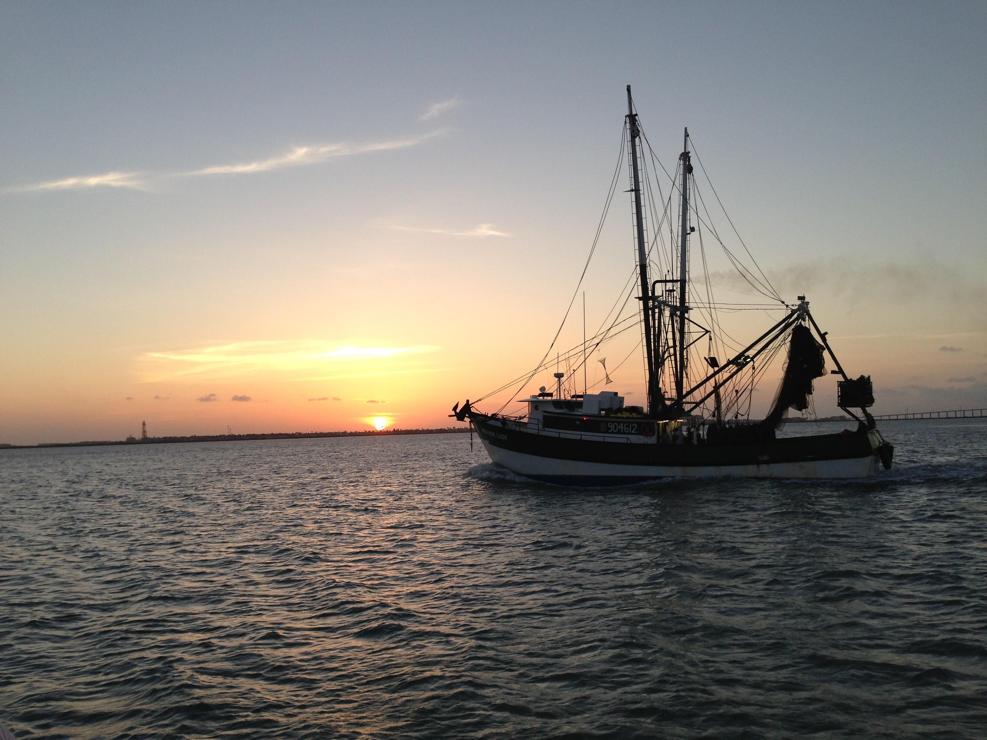 A fishing boat on calm waters during sunset.
