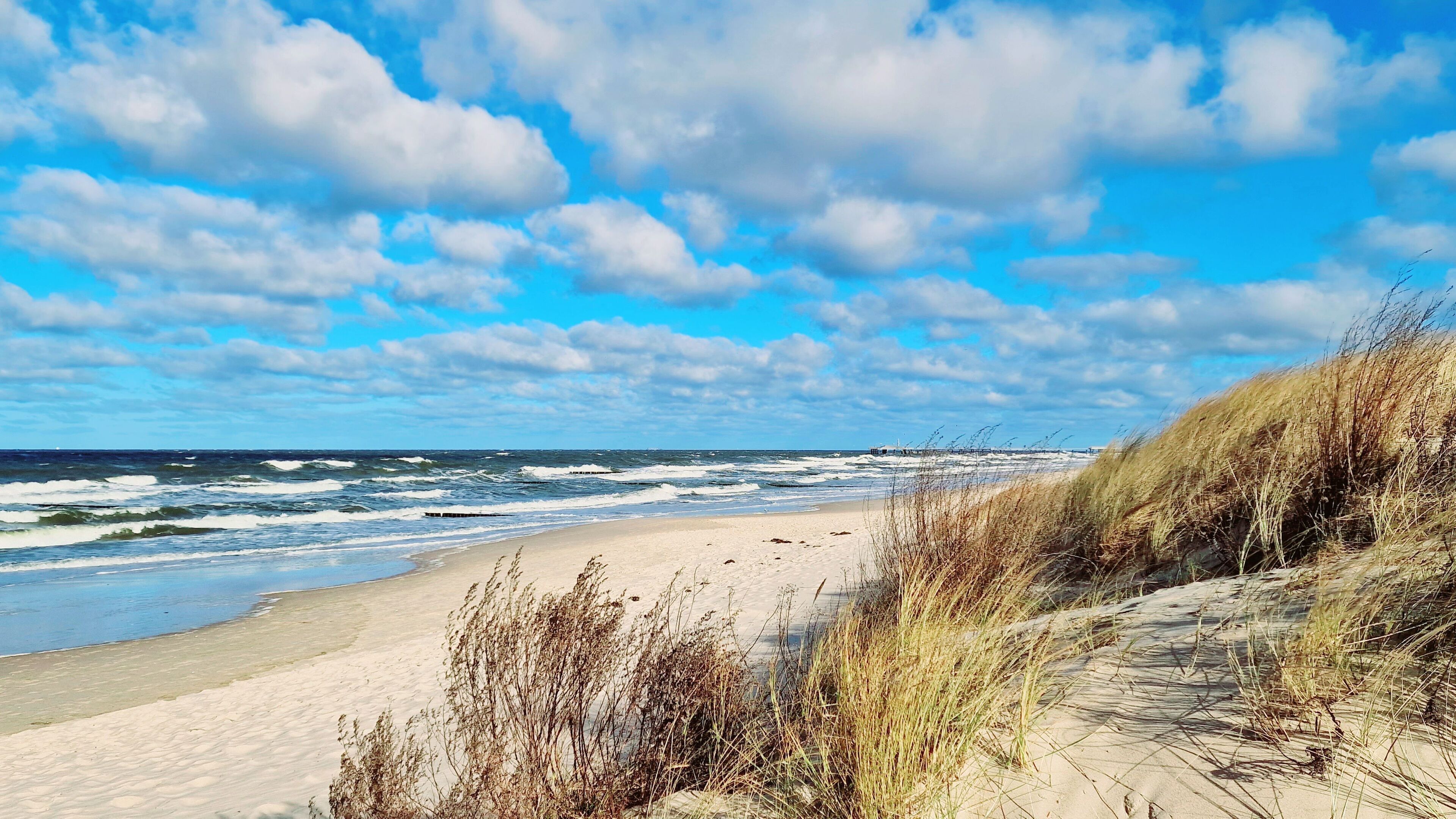 بالقرب من الشاطئ