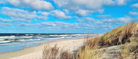 In Strandnähe