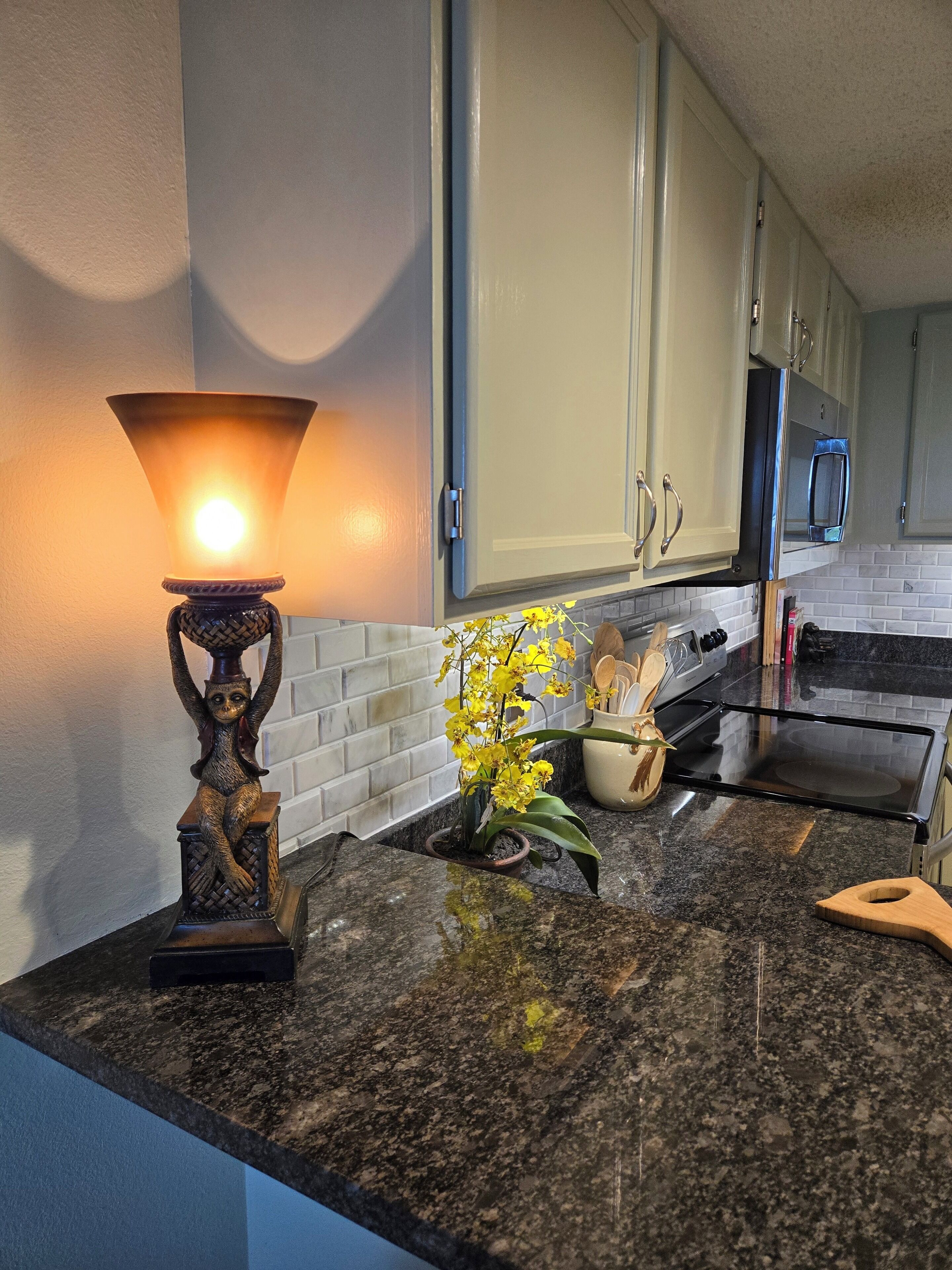 A kitchen with a granite countertop, a decorative lamp, a potted orchid, and stainless steel appliances.
