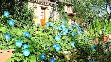 Details aan de buitenkant