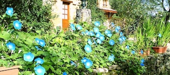 Charming little cottage in an exceptional Holiday Resort **** in Dordogne-Lot