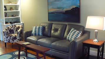 Smart TV, fireplace, DVD player, books