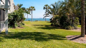 A grassy pathway leading to a body of water with palm trees and a building on the left.