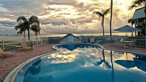 A swimming pool with a view of the ocean, palm trees, and a building in the background.