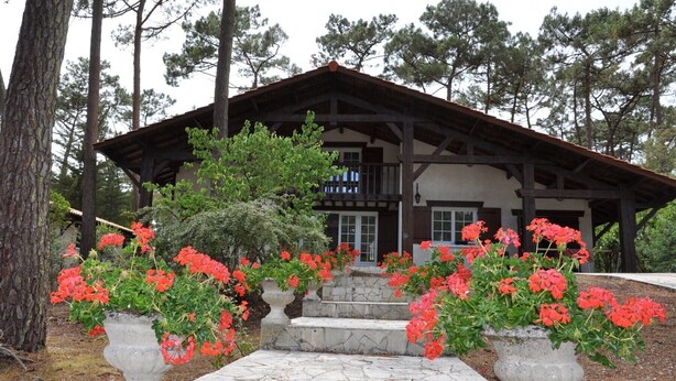 Una cabaña con entrada empedrada en piedra, rodeada de flores rojas en macetas, y una estructura de madera con balcón.