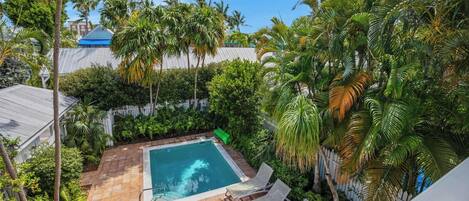 A rooftop pool area with a clear view of the sky, surrounded by lush greenery and palm trees.