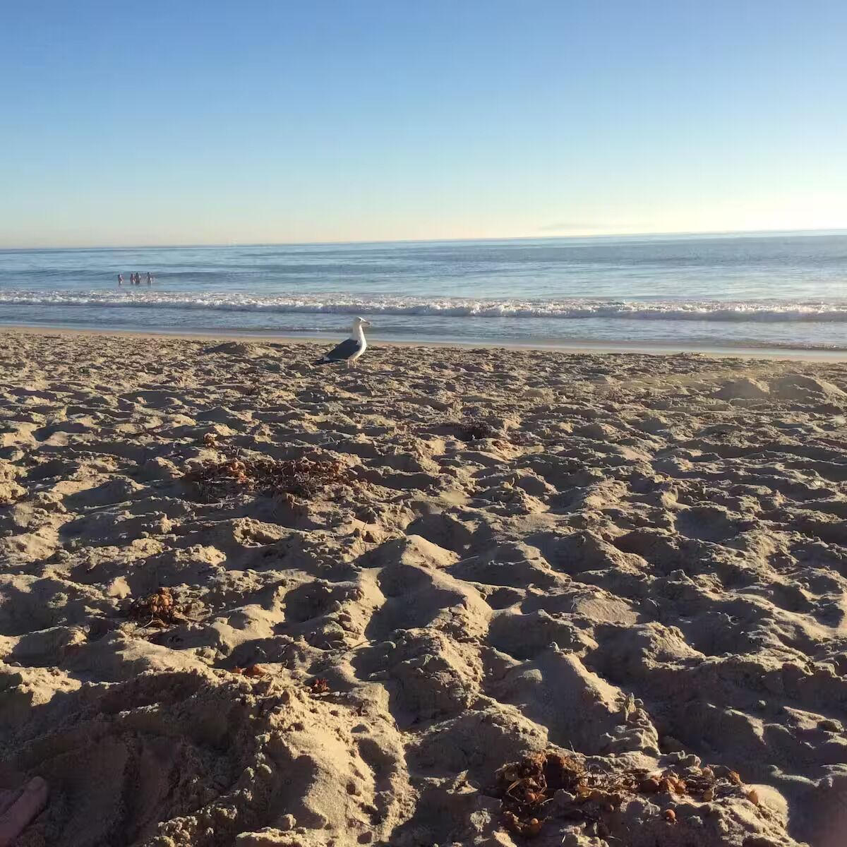 Sun-loungers, beach towels