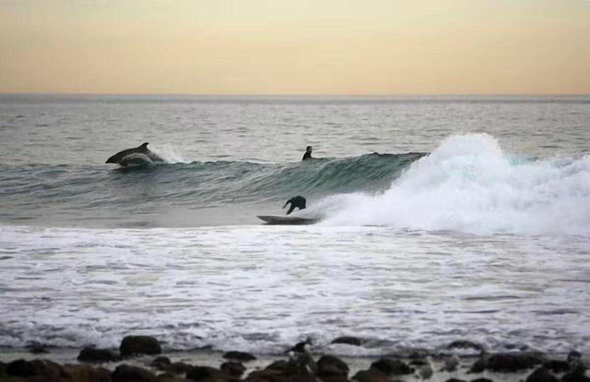 A surfer riding a wave in the ocean.