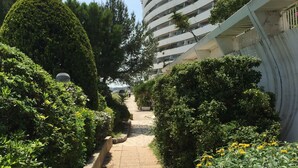 Un chemin bordé d’une végétation luxuriante et un bâtiment moderne à la façade incurvée.
