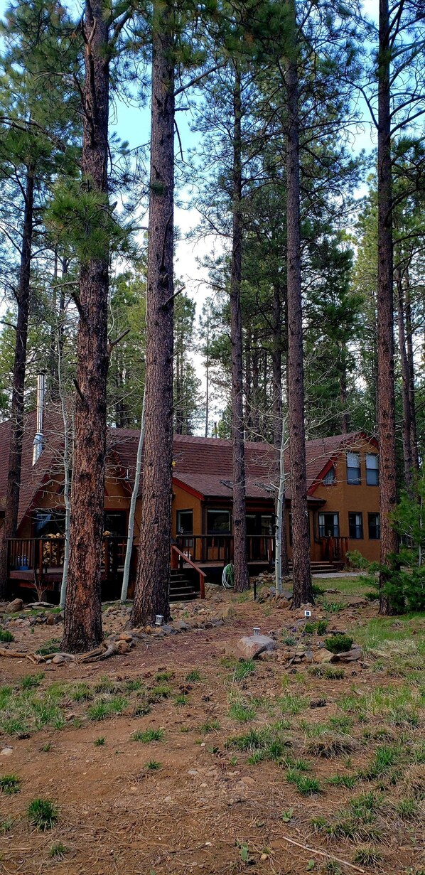 A lodge with a rustic exterior, surrounded by tall pine trees. - Stunning OFF-GRID Cabin Retreat! Quiet and Private !!! (Flagstaff)