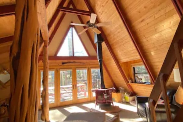 Smart TV, fireplace, video games, DVD player