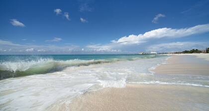 Spectacular Ground Floor Apt. w/ grill, Jacuzzi and Private Terrace