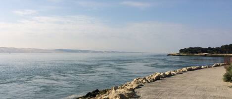 بالقرب من الشاطئ