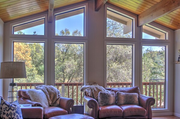 Smart TV, fireplace, video games, DVD player