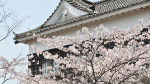 Un edificio tradicional con techo de tejas y flores de cerezo al frente.