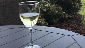 A glass of white wine on a table with a view of the ocean and greenery.