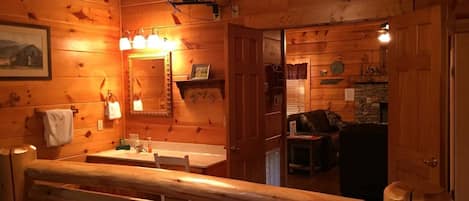 TV, fireplace, video games, DVD player