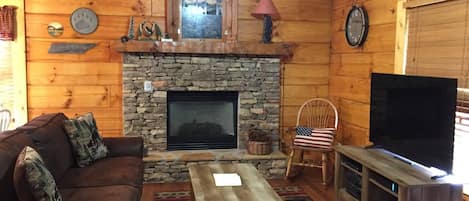 TV, fireplace, video games, DVD player