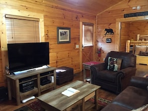 TV, fireplace, video games, DVD player