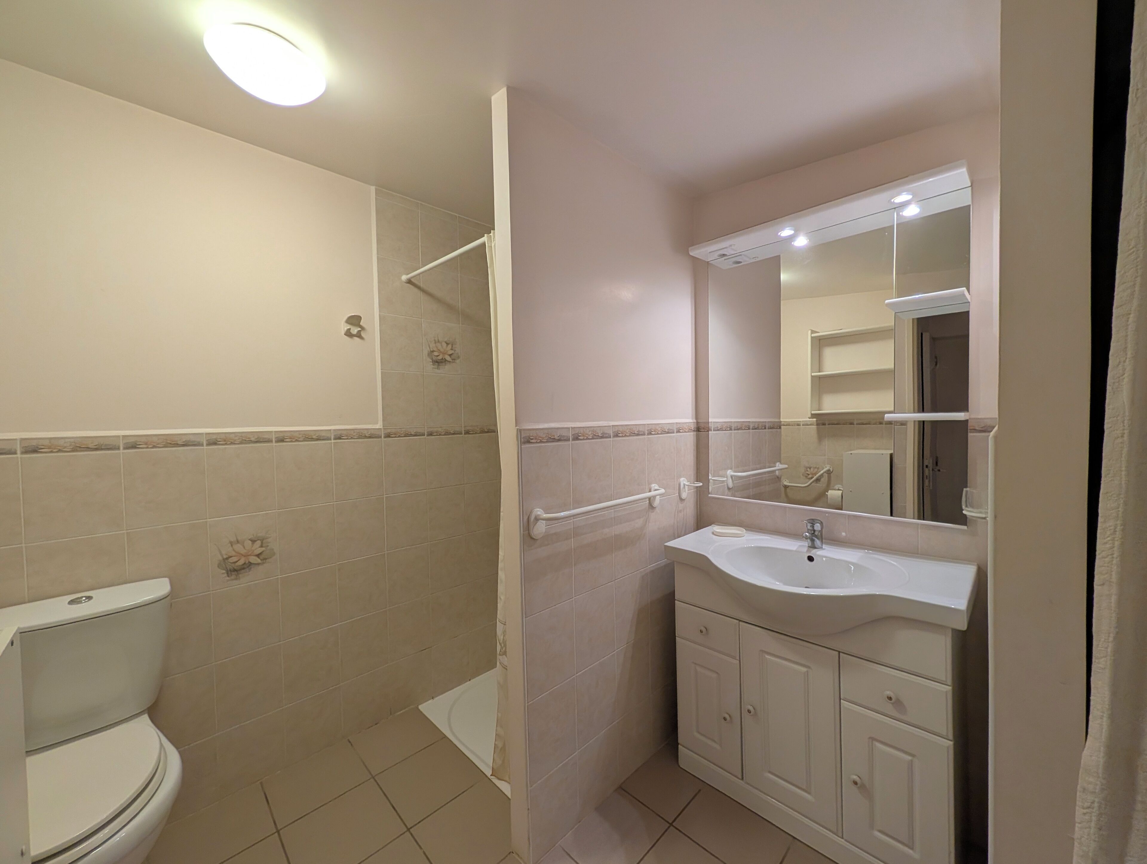 Une salle de bain équipée de toilettes, d’une douche, d’un lavabo et d’un miroir.