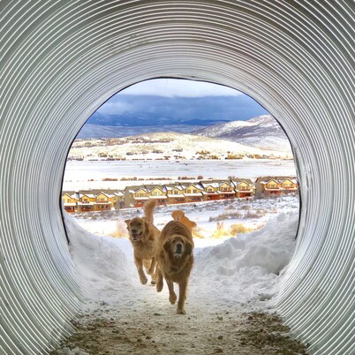 Perfect Old Town / Deer Valley Ubicación. Te encantará aquí.