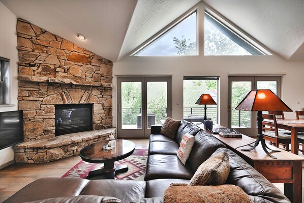 Smart TV, fireplace, DVD player, books