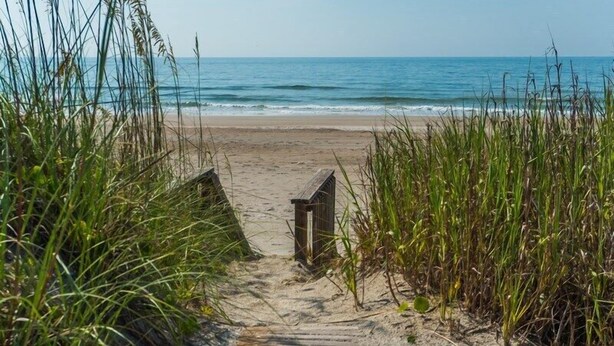 Een houten pad dat naar een strand leidt, met hoge grassen aan weerszijden.