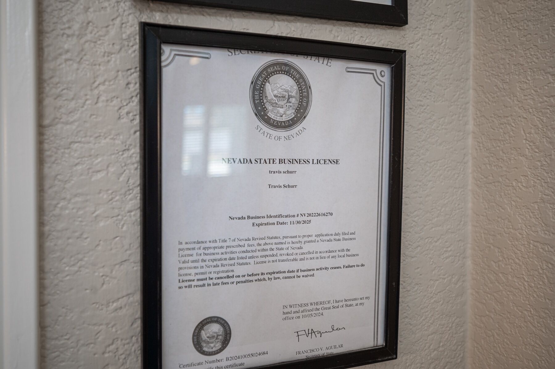 A framed Nevada State Business License certificate.