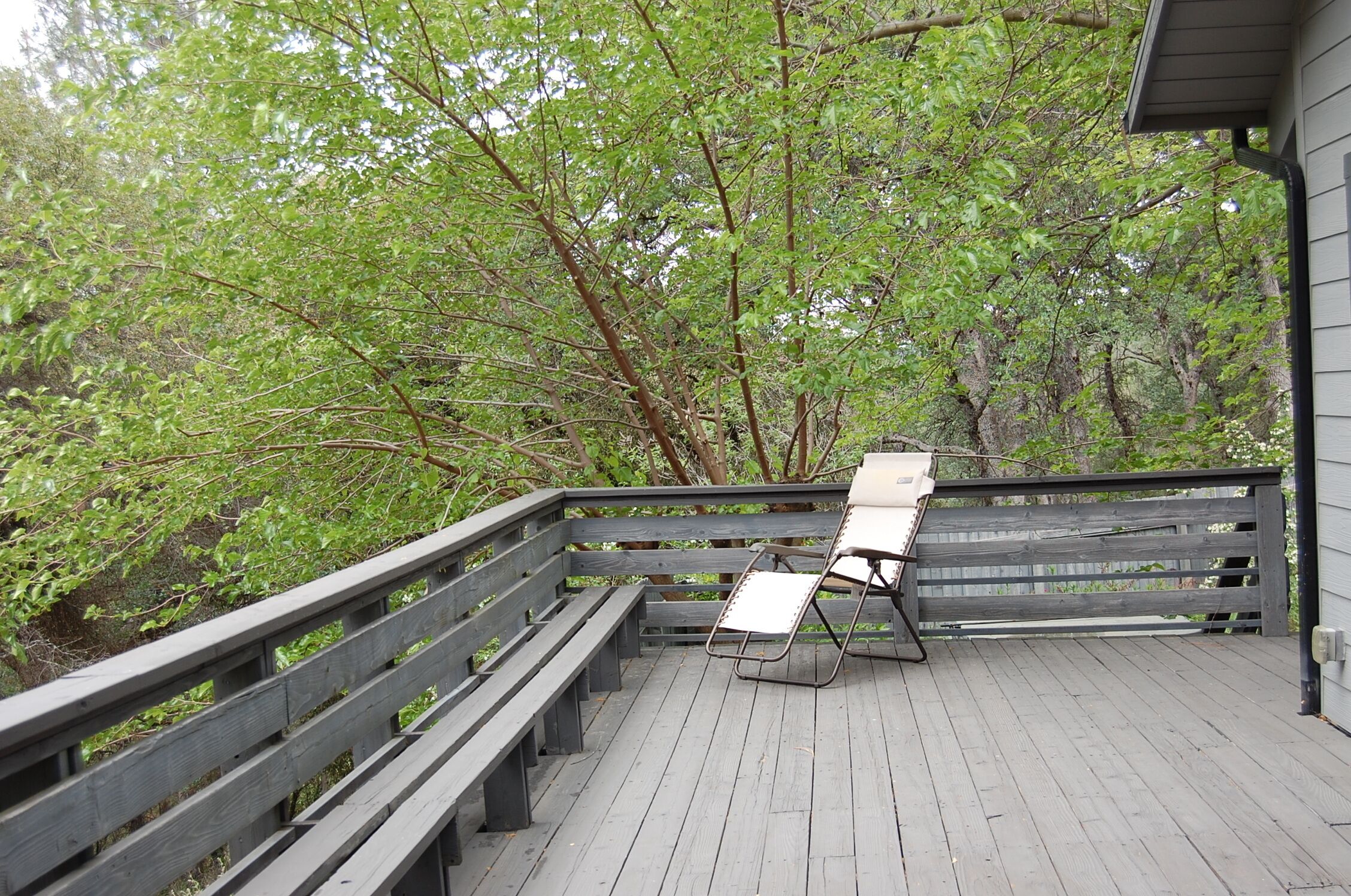 A wooden deck with a metal chair and a table, surrounded by dense green foliage.
