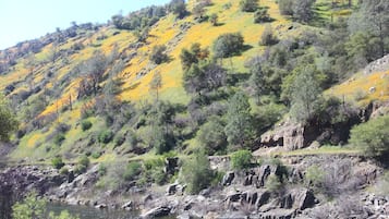 Vue aérienne