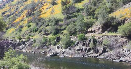 Secluded getaway in the Oaks and Pines with meandering Deer