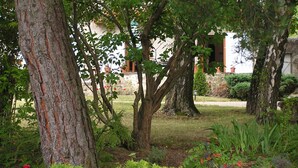 Un jardín con árboles, césped y diversas plantas.