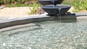 Una fuente con agua fluyendo hacia una pila, rodeada por un jardín con plantas y un muro de piedra.