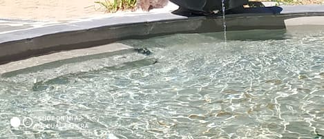 Bubbelpool utomhus