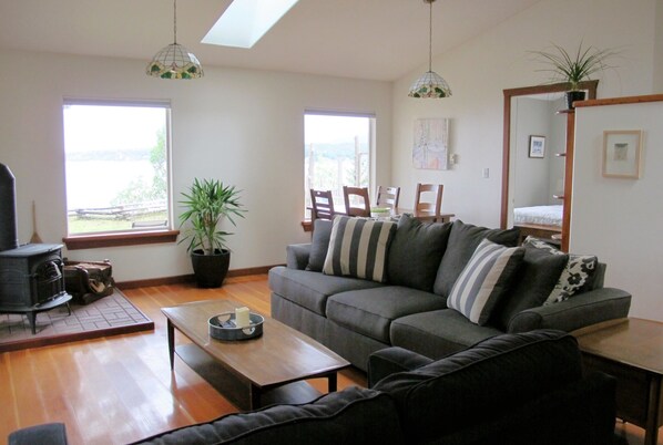 TV, fireplace, DVD player, books