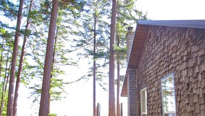 A cabin with a wooden exterior, surrounded by tall trees. - Beautiful Oceanfront ‘Cottage’ - Breathtaking Views,Beach,Pet Friendly,Fireplace (Denman Island)
