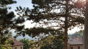 A balcony with a view of a lake, surrounded by trees and houses.