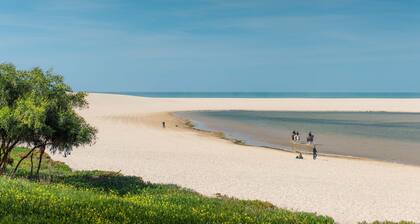 LVPremier LA1- heated pool, Jacuzzi, AC, garden