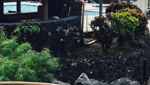 Une construction à toit de chaume, située à côté d’une piscine et entourée d’une végétation tropicale et de palmiers.