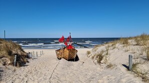 Unclassified image, 3 of 30, button - Haus Bernstein - Kölp - forest and sea(h)r (Loddin)