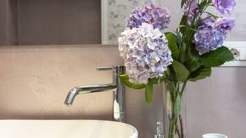 Douche, sĂšche-cheveux, bidet, serviettes fournies