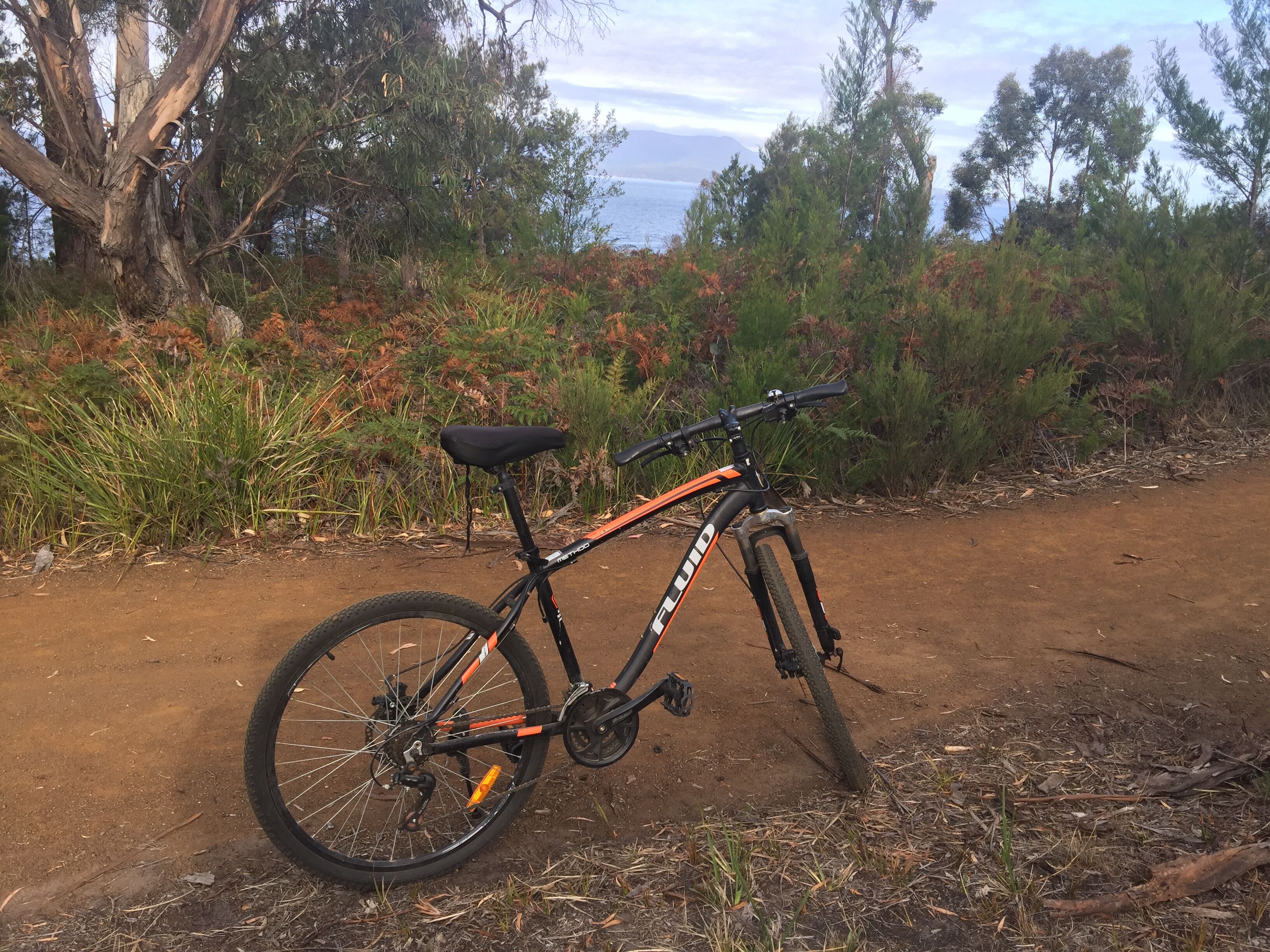 Close to the Beach. Gateway to Maria Island. — image 3
