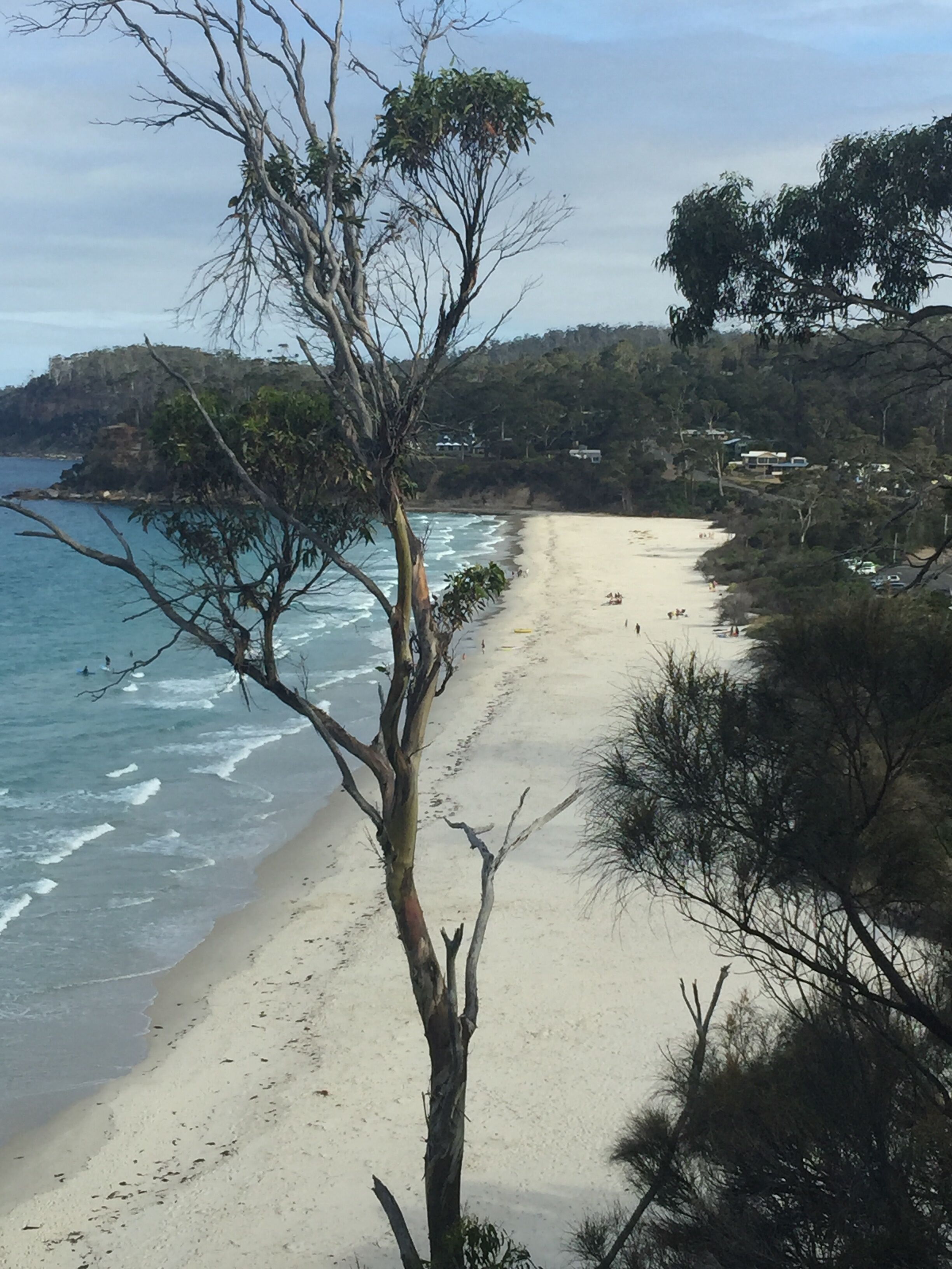 Close to the Beach. Gateway to Maria Island. — image 27