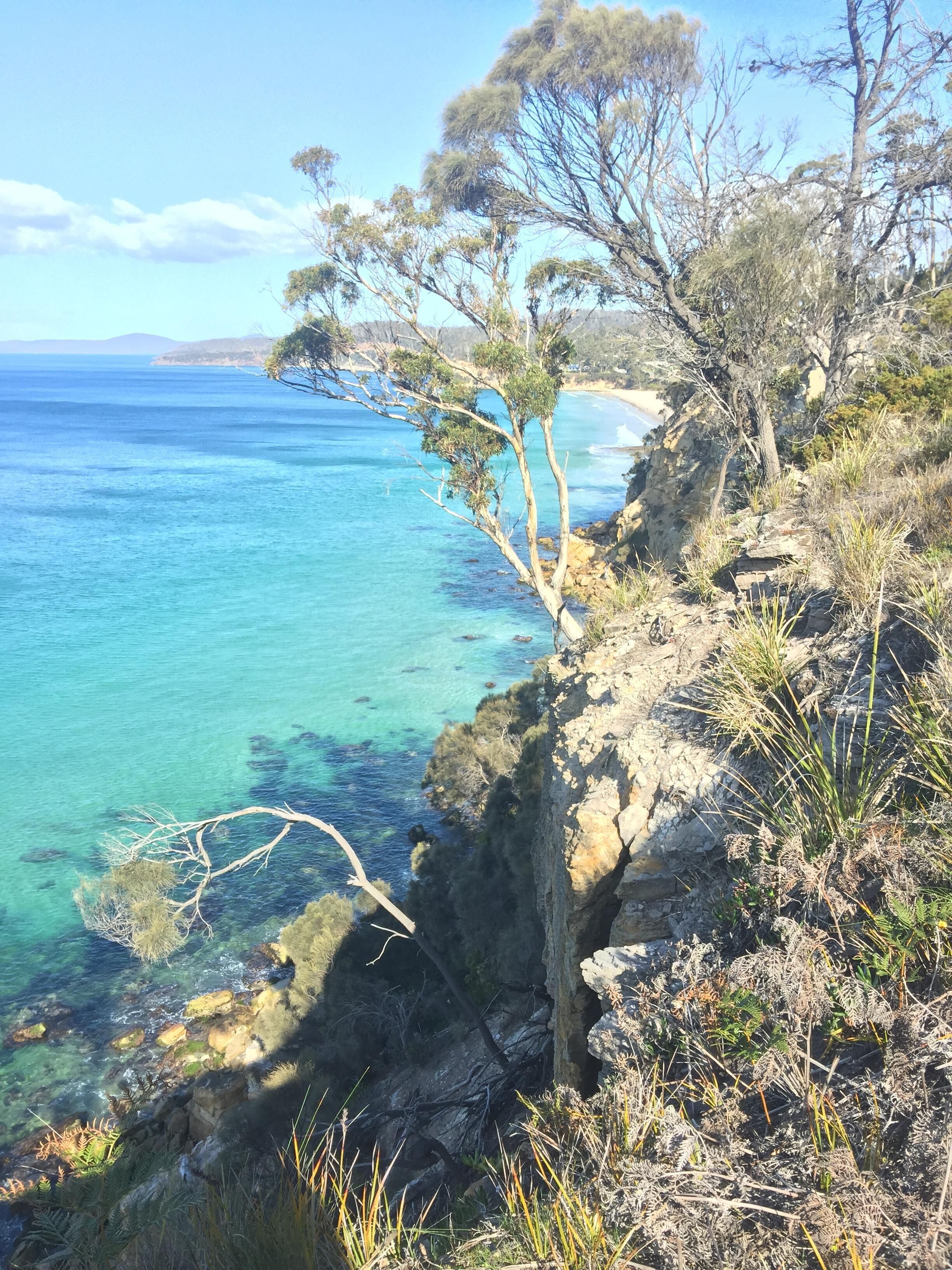 Close to the Beach. Gateway to Maria Island. — image 30