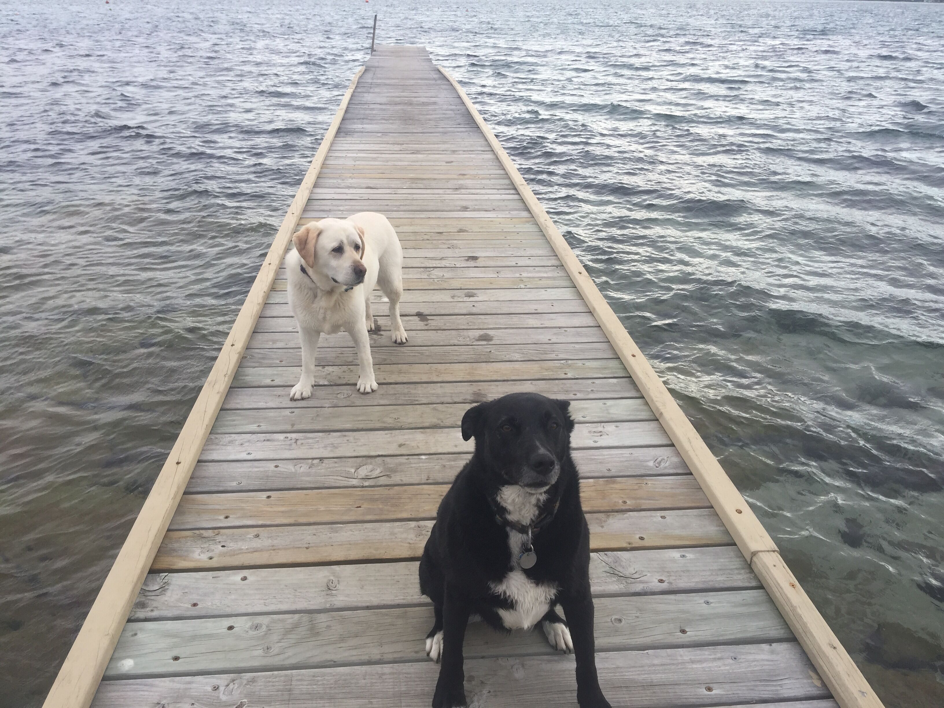 Close to the Beach. Gateway to Maria Island. — image 28
